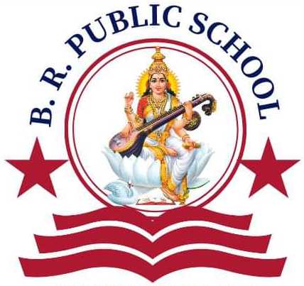 B. R. PUBLIC SCHOOL